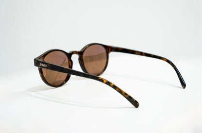 𝘌𝘝𝘌𝘙𝘠𝘋𝘈𝘠 - 𝘗𝘖𝘓𝘈𝘙𝘐𝘚𝘌𝘋 𝘛𝘖𝘙𝘛𝘖𝘐𝘚𝘌𝘚𝘏𝘌𝘓𝘓